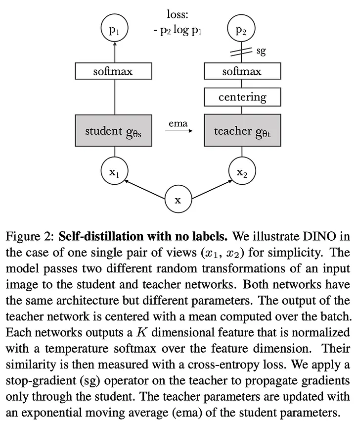 Self Distillation