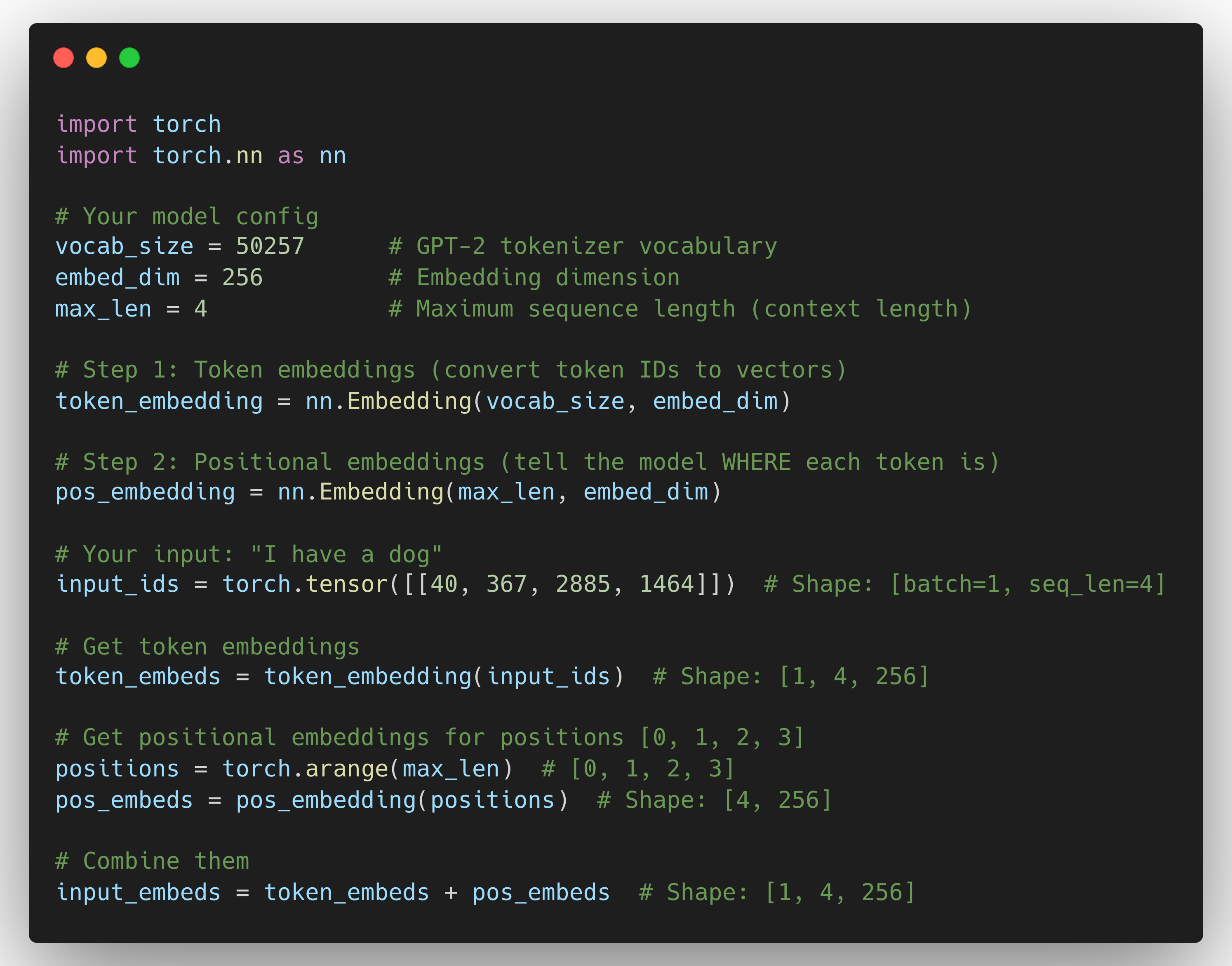 GPT-style model processing input with positional embeddings